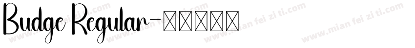 Budge Regular字体转换